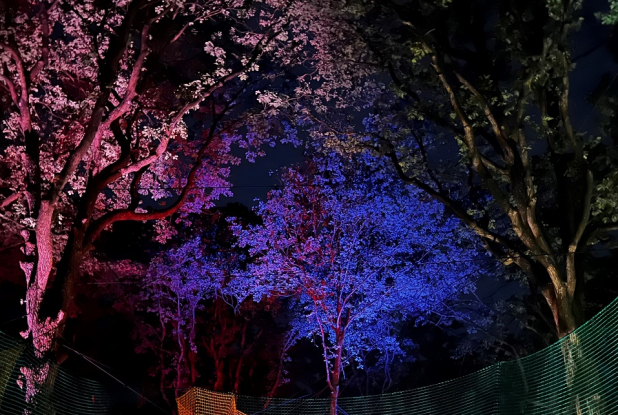 Les Esprits de la Forêt à l'Espace Rambouillet