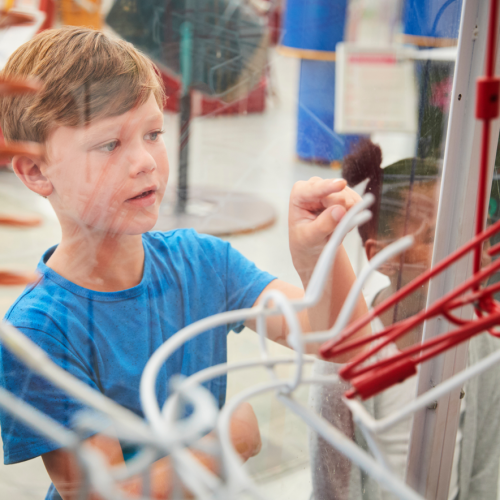 Expo Intelligences par nature