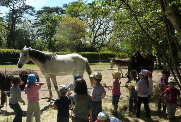 Ferme d'animation du Chateau de Bergues : enfants et animaux