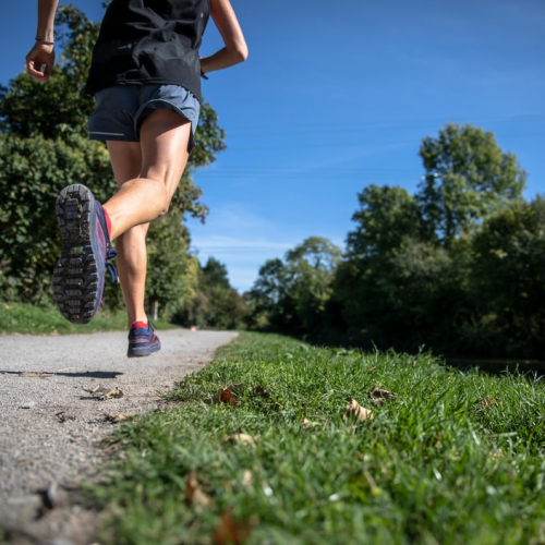 Tous pour la vie - Janzé