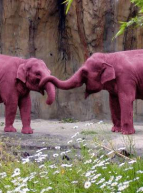 Famille d'éléphants roses