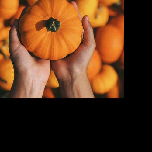 Fête de la Courge Châteauneuf