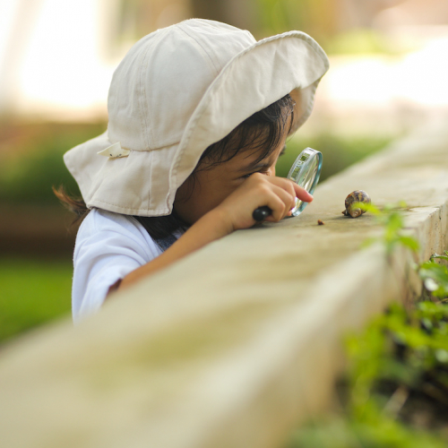 Les 48h de l'Agriculture Urbaine 2023 à Toulouse