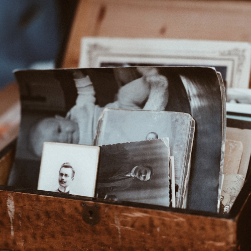 Arbre généalogique en famille