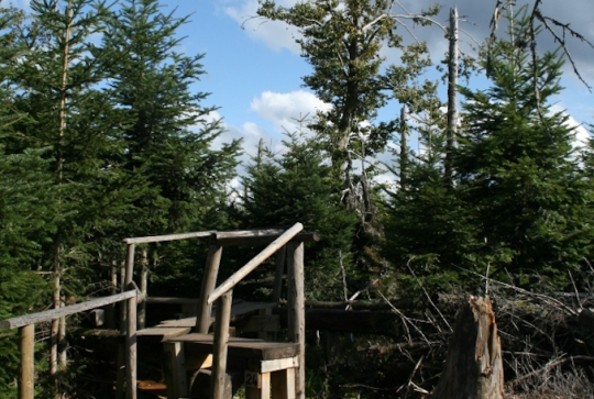Sentier de Lothar - Le Lotharpfad