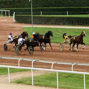 Hippodrome de Marseille Vivaux