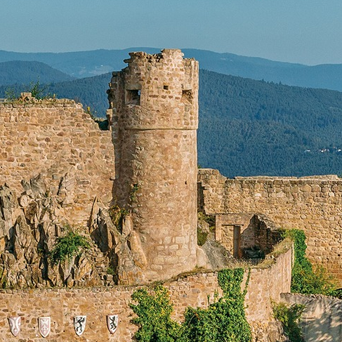 Fêtes et réjouissances