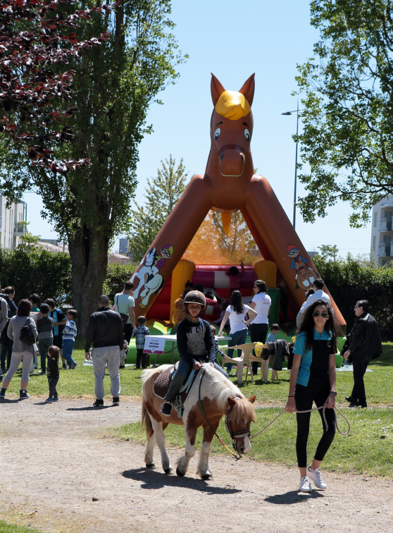 Hippodrome en fête Lyon Parilly