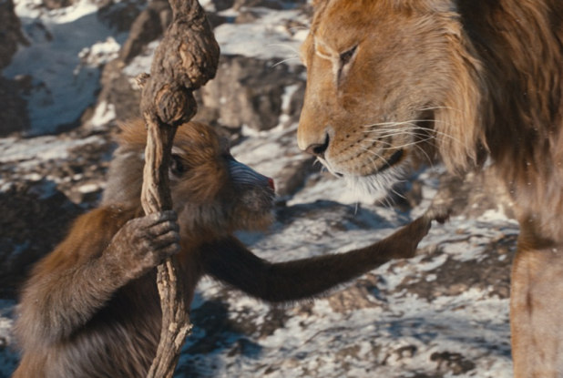 Mufasa : Le Roi Lion - Rafiki