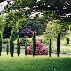 Parc du Manoir aux loups
