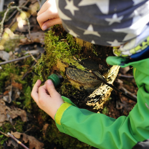 Géocaching : testez la chasse au trésor en famille près de chez vous