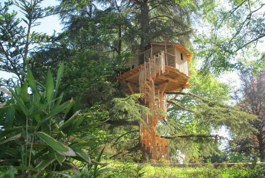 Hébergements insolites : cabane en pleine forêt
