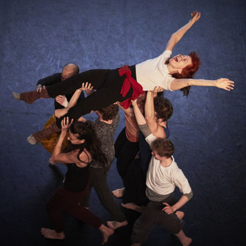 Un furieux désir de bonheur - Catherine Verlaguet