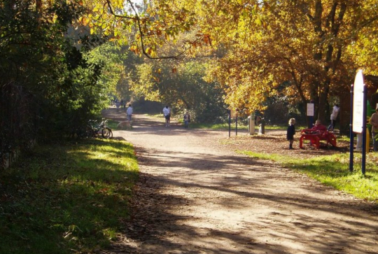 Bois du Burck de Mérignac (Bordeaux)