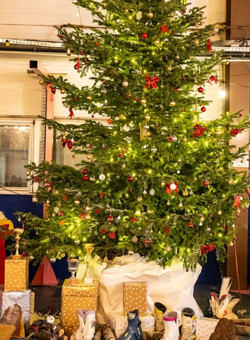 Marché de Noël à la Cité des Halles : Sapin de Noël