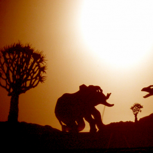 Le théâtre des ombres