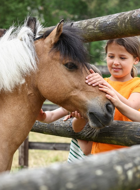 Journée du cheval : Deux petites filles caressent un cheval