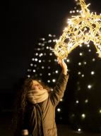 Lumières en Seine : cheval