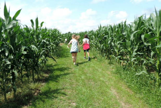 Labyrinthe en Délire : enfants