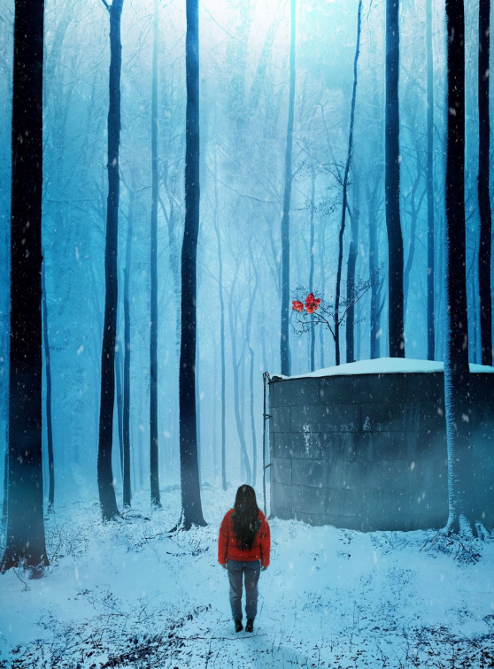 Neige - Pauline Bureau