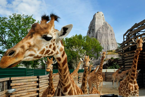 Parc zoologique de Paris