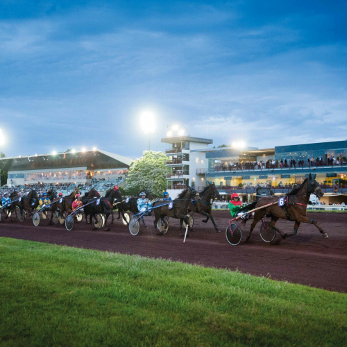 Hippodrome Bellerive