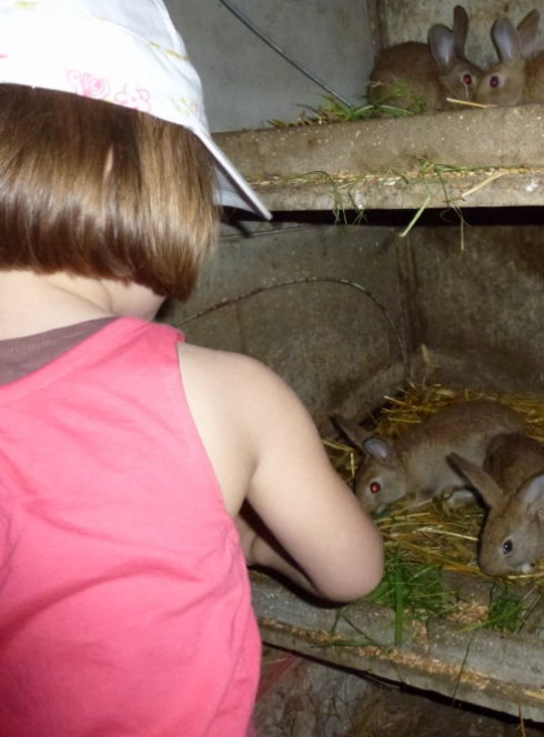 Anniversaire Ferme de Bouzigue