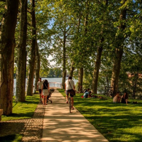 Île du Ramier : projet réaménagement