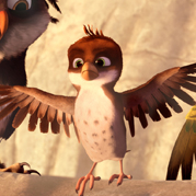 Concours Le Voyage de Ricky