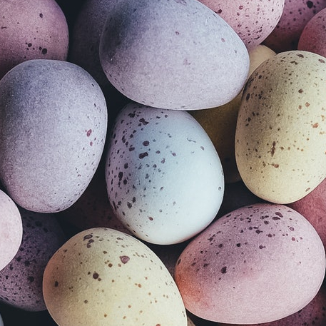 Chasse aux oeufs de Pâques au Musée Yves Machelon