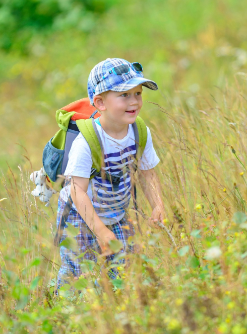 Festival Nature : L’Happy Grièche