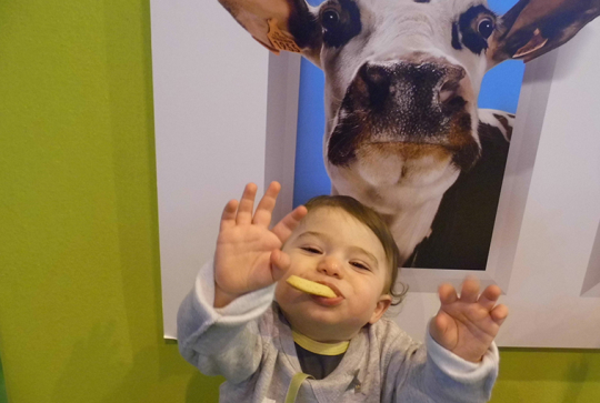 salon agriculture 2013