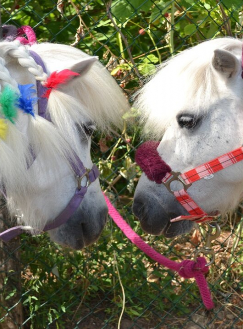 Estivales des Vallons du Lyonnais 2021