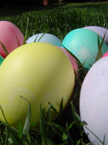 Chasse aux œufs de Pâques 2016 Quartier Ordener