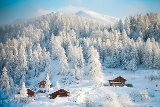 Ski de fond et des raquettes près de Nice : 5 stations à découvrir : Roubion