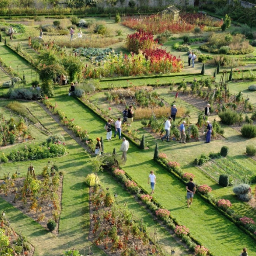 Festival de la Tomate et des Saveurs 2014