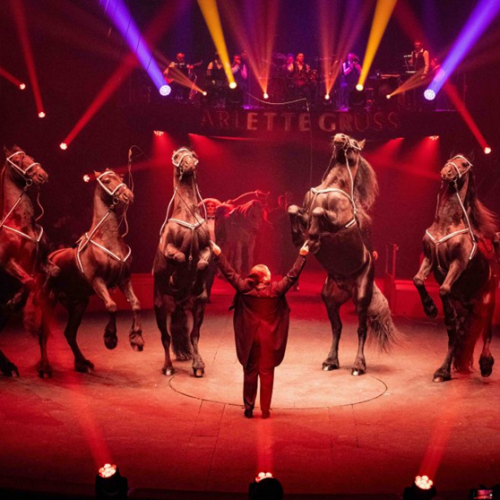 40 ans, la tournée anniversaire - Cirque Arlette Gruss : cheveux