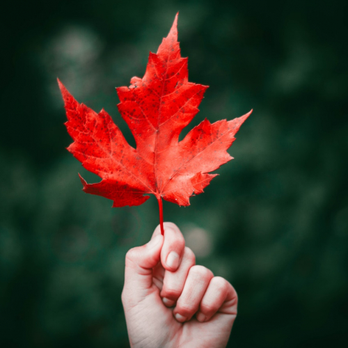 Festival Eco 2 Rives