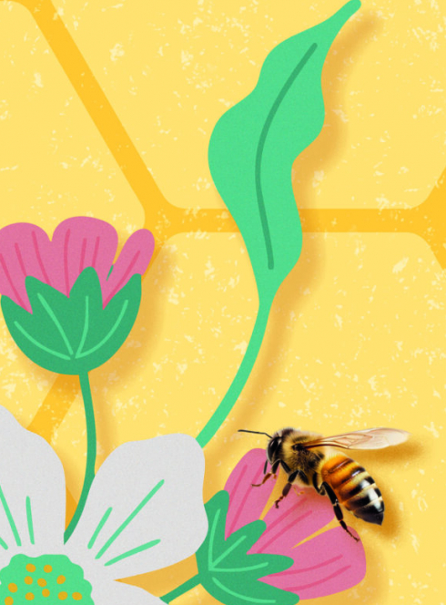 Fête du miel à Rennes