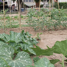 Ateliers jardinage avec Côté Jardins