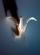 Origami albatros - Un brin zen