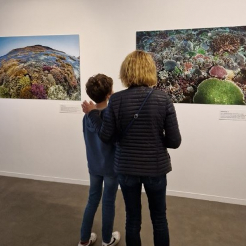 Expo Corail au Muséum