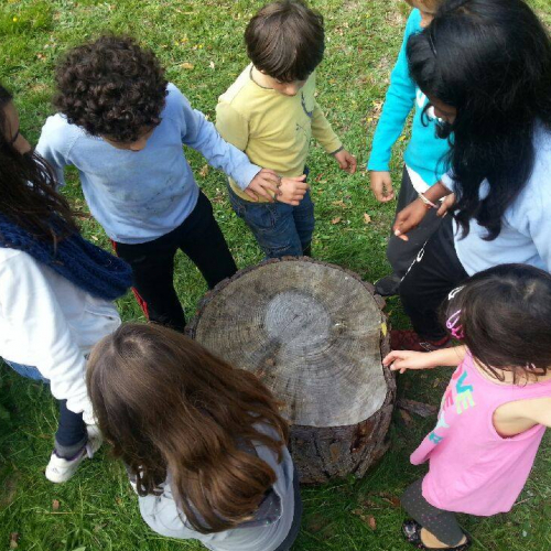 Camps de vacances "Nature & Création"