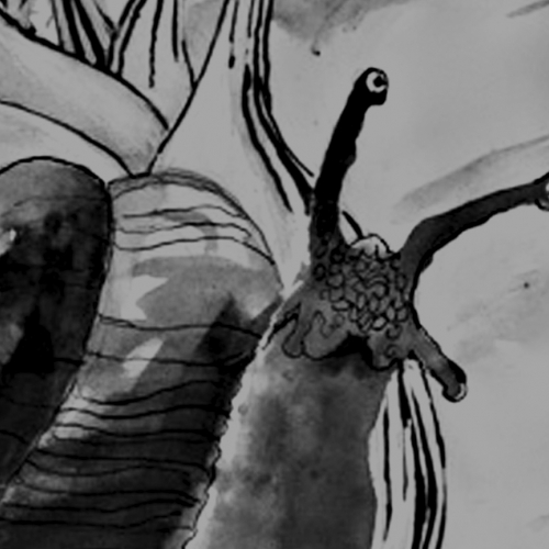 Animaux de Roubaud - Clara Girard