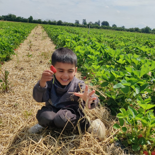Aux jardins de Saisons