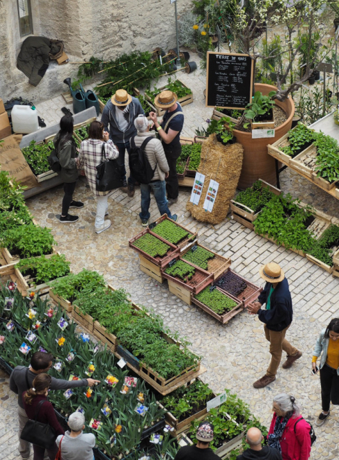 Fête des plantes au Mucem
