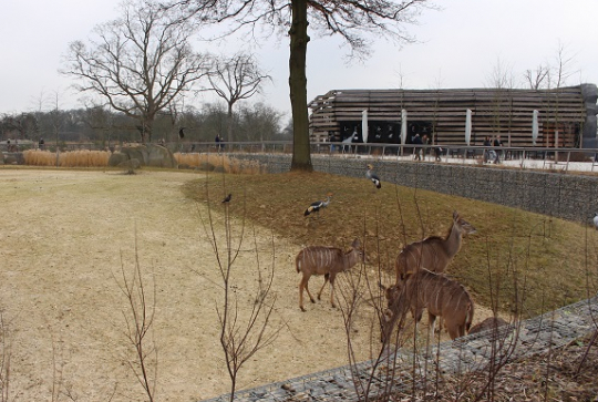 Parc zoologique de Paris @CitizenKid