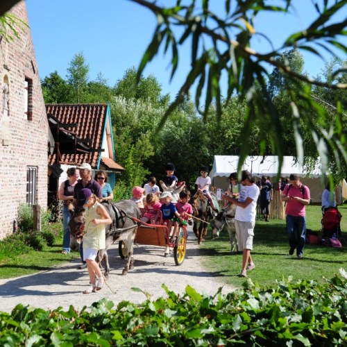 Musée de Plein Air Villeneuve voiture âne