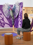 Expo Les Pop'up de l'Histoire naturelle : Un pliage en forme d'oiseau