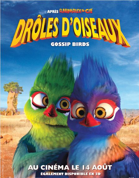 Droles d'oiseaux